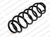 Arc spiral puntea spate (4295034 LESJOFORS) VW