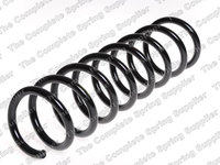 Arc spiral puntea spate (LS4208460 LESJOFORS) BMW