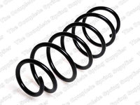 Arc spiral puntea spate (LS4227560 LESJOFORS) FORD