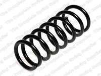 Arc spiral puntea spate (LS4262026 LESJOFORS) NISSAN