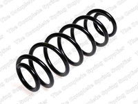 Arc spiral puntea spate (LS4295053 LESJOFORS) VW