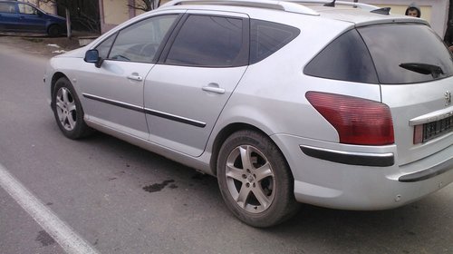 Arcuri Si Amortizoare Spate Peugeot 407 Sw 2 