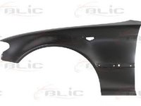 Aripa BMW 3 cupe E46 BLIC 6504040061317P