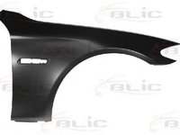 Aripa BMW 5 F10 F18 BLIC 6504040067312P