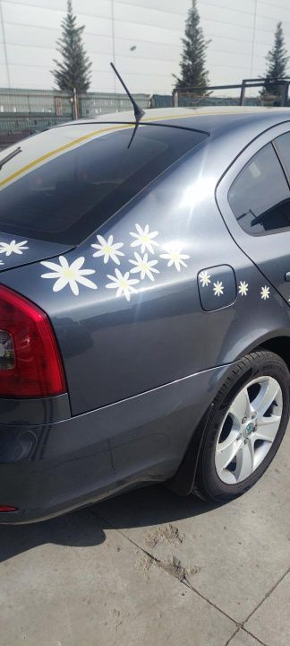 Aripa Dreapta spate Skoda Octavia 2