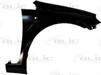 Aripa FIAT GRANDE PUNTO 199 BLIC 6504042024312P