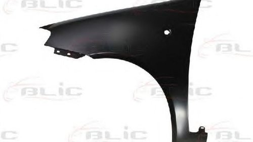 Aripa FIAT PUNTO 188 BLIC 6504042023315P