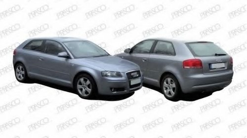 Aripa interior AUDI A3 Sportback (8PA) (2004 