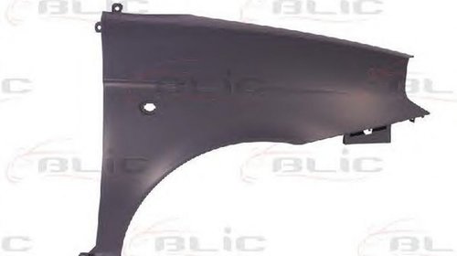 Aripa LANCIA YPSILON 843 BLIC 6504043331312P