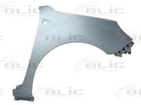 Aripa RENAULT KANGOO Express FW0/1 BLIC 6504-04-6011312P