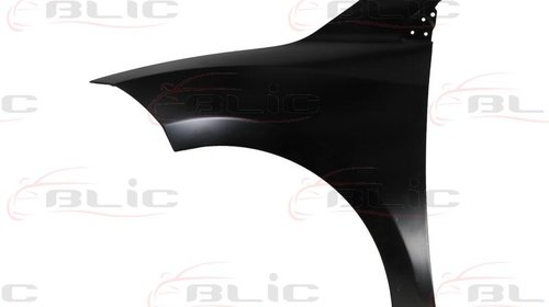 Aripa RENAULT MEGANE III hatchback BZ0 Produc