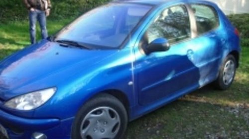 Aripa spate peugeot 206 coupe.prag 206.lonjer