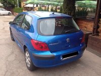 Aripa spate peugeot 307 1.6 16v 2002