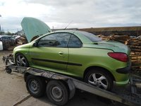 Aripa Stanga Spate Peugeot 206 CC