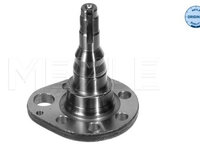 Articulatie directie, suspensie roata Axa spate dreapta (1005010036 MEYLE) SEAT,VW