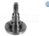 Articulatie directie, suspensie roata Axa spate ambele parti (1005011010 MEYLE) AUDI,SEAT,VW