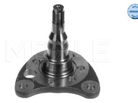 Articulatie directie, suspensie roata Axa spate dreapta (1005010011 MEYLE) SEAT,VW