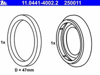 Ate set garnituri etrier frana spate pt bmw 3(e46)