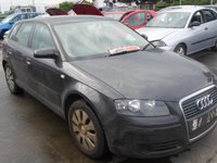 Audi A3 8P FaceLift 1.9 tdi