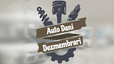 AUTO DANI DEZMEMBRARI