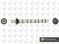 Ax came CITROEN C5 II RC BGA CS5531