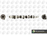 Ax came RENAULT Scenic II JM0 1 BGA CS2542