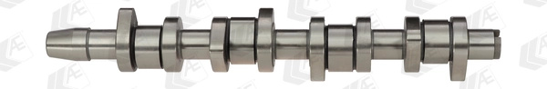 Ax cu came AE VW PASSAT B6 Variant (3C5) 2005-2010 - CAM904