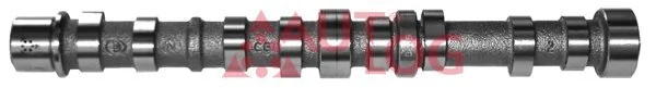 Ax cu came Autlog LANCIA YPSILON (843_) 2003-2011 - NW5017