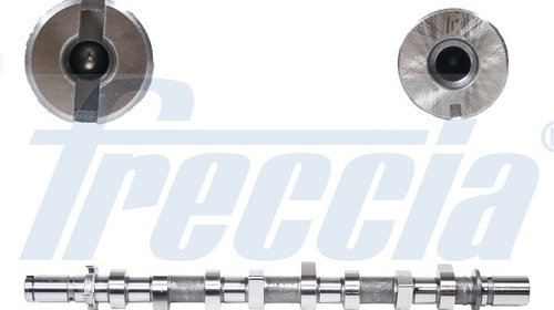 Ax cu came CM05-2185 FRECCIA pentru Renault G