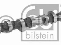 Ax cu came FIAT DUCATO platou / sasiu (230) (1994 - 2002) Febi Bilstein 17068