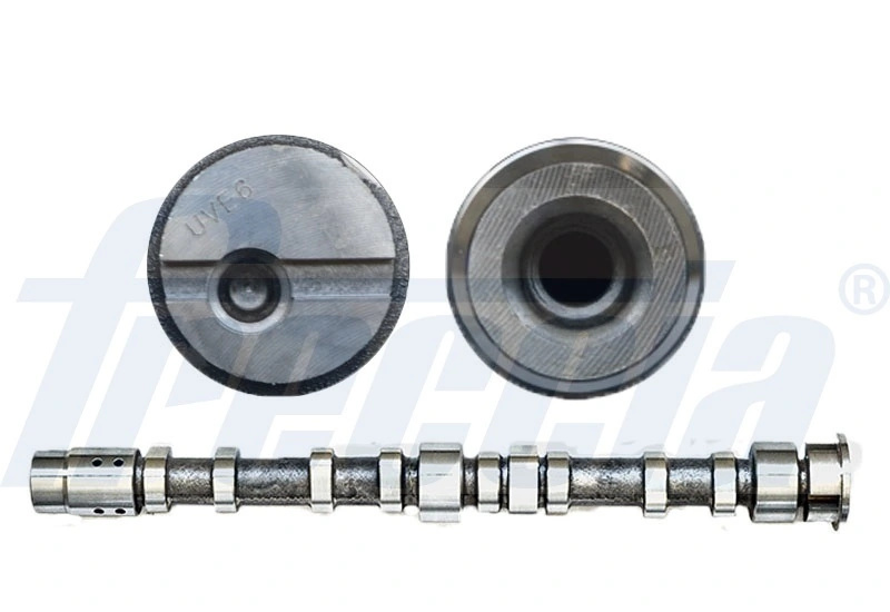 Ax cu came Freccia FORD C-MAX (DM2) 2007-2010 - CM