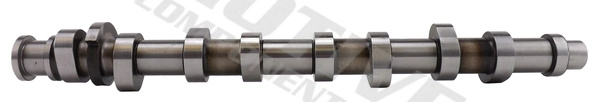 Ax cu came MOTIVE VW PASSAT B5.5 Variant (3B6) 2000-2005 - T2184