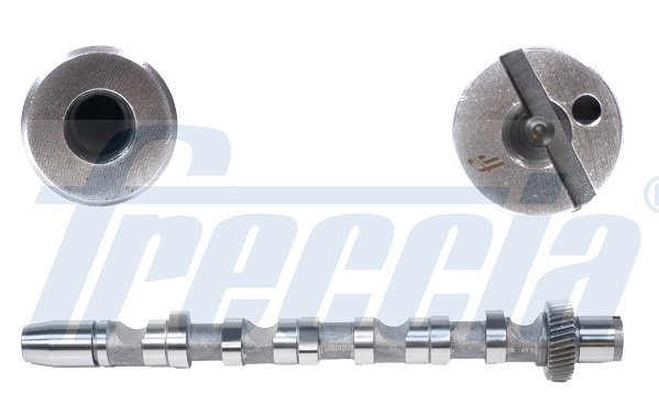Ax cu came # partea de admisie Audi A4 2.5 [8d2; b5] tdi motorina 150cp/110kw AFB; AKN 1997 1998 1999 2000 # CM05 2121 # FRECCIA