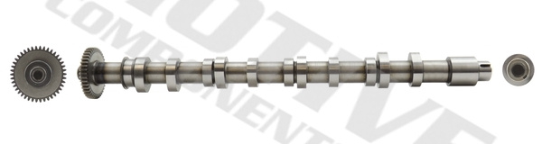 Ax cu came pe partea gazelor de e?apament (T2621 MVE) AUDI,SEAT,SKODA,VW