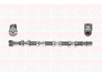 Ax cu came RENAULT VEL SATIS (BJ0_) (2002 - 2016) FAI AutoParts C257