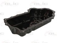 Baie ulei FORD TRANSIT CONNECT (P65_, P70_, P80_) (2002 - 2016) BLIC 0216-00-2507474P
