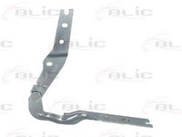 Balama, capota motor VW GOLF 7 combi (BA5) (2013 - 2016) BLIC 6802-00-9550451P