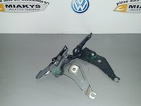 Balamale capota BMW X6 E71