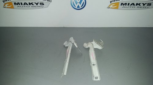 Balamale capota VW Tiguan