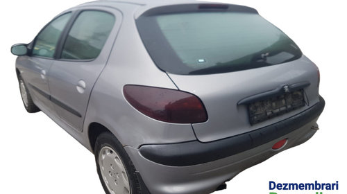 Bandou mijloc usa fata dreapta Cod: 9625100477 Peugeot 206 [1998 - 2003] Hatchback 5-usi 1.4 HDI MT (68 hp)