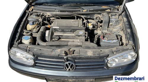 Bandou mijloc usa fata dreapta Volkswagen VW Golf 4 [1997 - 2006] Hatchback 5-usi 1.4 MT (75 hp)