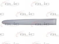 Bandou usa CITROEN XSARA PICASSO N68 BLIC 5703040536578P