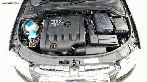 Bara fata Audi A3 8P 2006 HB 2.0