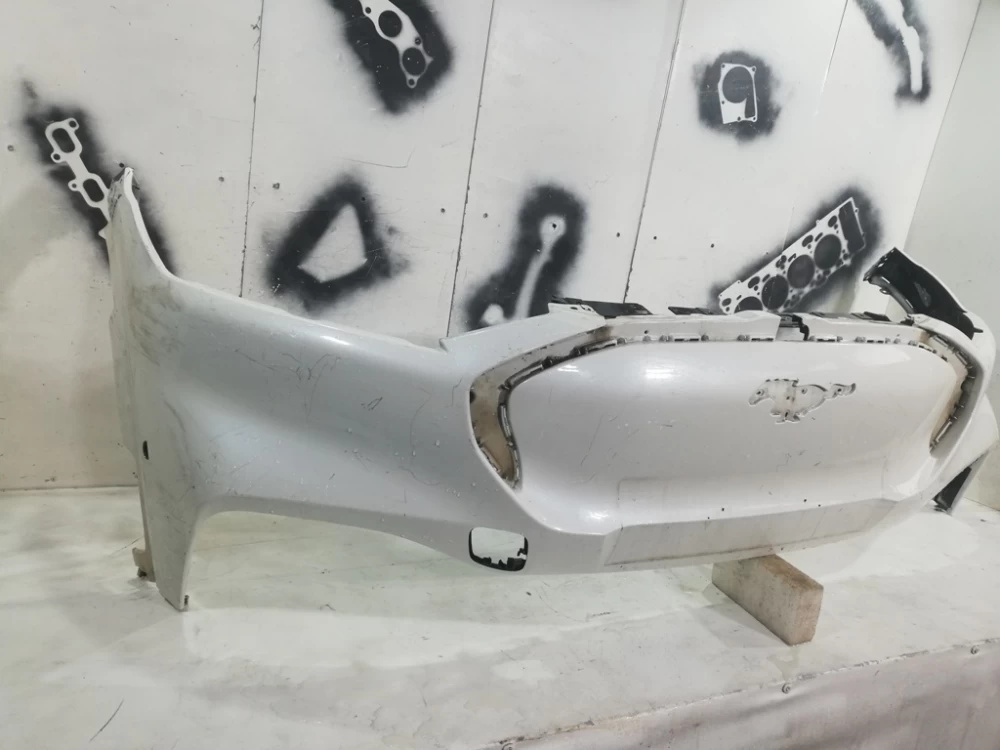 Bara fata Ford Mustang Mach-E An 2021 20