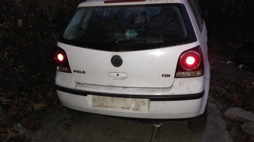 Bara fata Volkswagen Polo 9N 2009 hatchback 1