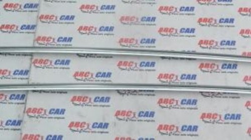 Bari longitudinale cromate VW Golf 7 Variant 