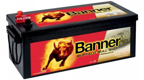 Baterie Banner Buffalo Bull Shd Professional 