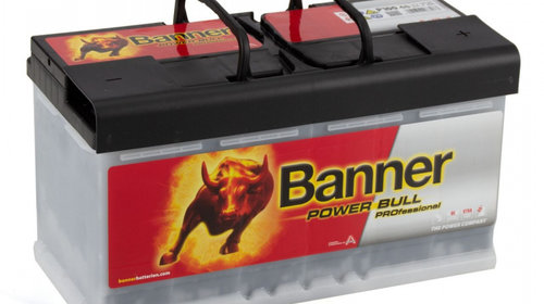 Baterie Banner Power Bull Professional 100Ah 
