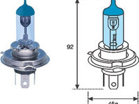 Bec incandescent (002602100000 MAGNETI MARELLI)