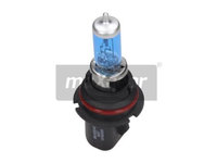 Bec incandescent (780095 MAXGEAR) HUMMER